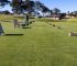 Grass Driving Range