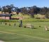 Grass Driving Range